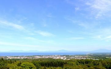 田里的守望者读后感5篇