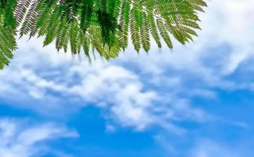 科学《天气》教案优秀7篇