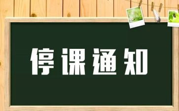 停学不停课个人总结7篇