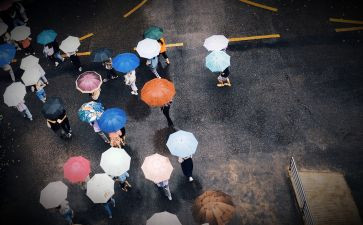 我从未停止追梦脚步作文5篇