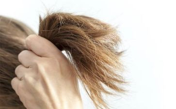 吹头发作文推荐8篇