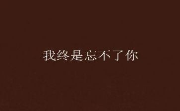 我忘不了她500字作文5篇