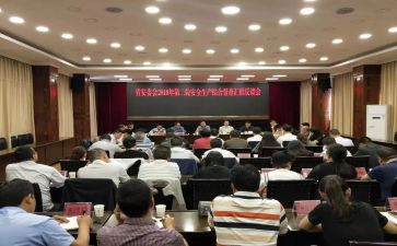 安委会年度工作总结8篇