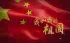 关于写《我》的作文500字模板7篇