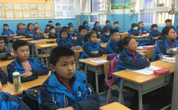 我的课外书演讲稿精选7篇