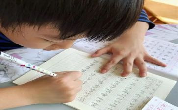 我的名字来作文8篇