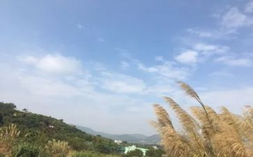 51我的一天作文6篇