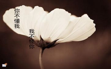 我懂了幸福作文600字6篇