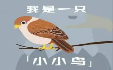 小鸟的梦作文300字8篇