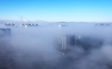 雾都孤儿读后感500字6篇