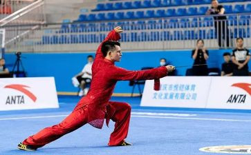 武术作文300字5篇