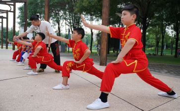 武术的心得5篇