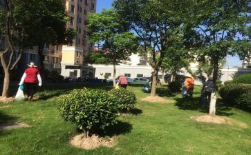 物业小区主任年终总结7篇