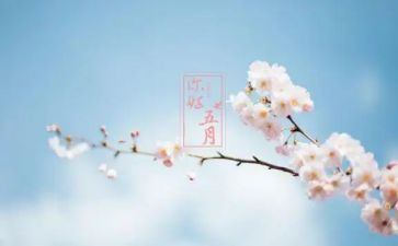 一至五月份工作总结优质8篇