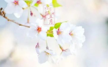 五月份大班工作总结7篇