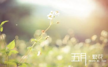 红五月的活动策划7篇