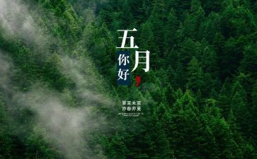 五月份工作总结优秀6篇