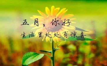 学为五月份工作总结最新6篇