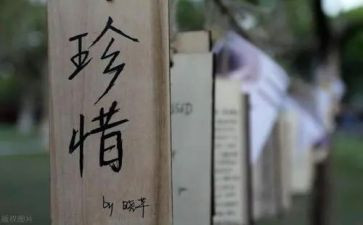 珍惜的演讲稿800字7篇