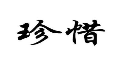 我珍惜什的作文精选5篇