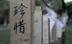 珍惜的演讲稿800字7篇