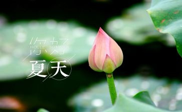 中班夏天活动教案8篇