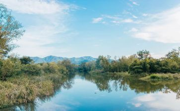 《夏洛的网》读后感800字8篇