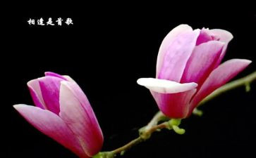 一次一相逢一份暖作文8篇
