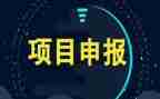 销售项目个人总结5篇