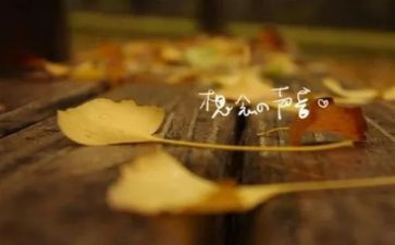 我想念你作文800字7篇