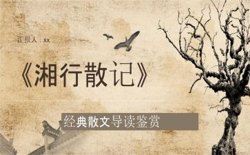 湘行散记写心得体会7篇