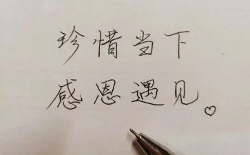 有关于相遇的作文5篇