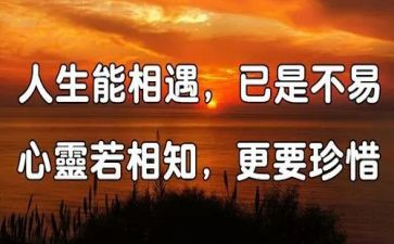 有关于相遇的作文推荐5篇