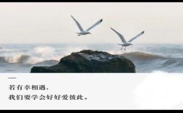 与诗相遇作文精选8篇