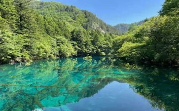 我的小先生作文6篇