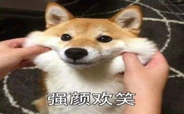 笑对挫折小学生演讲稿6篇