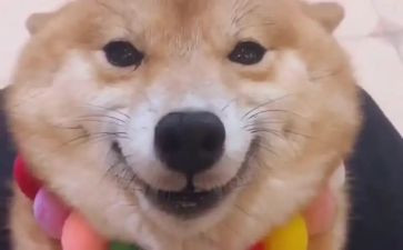 小学笑演讲稿8篇
