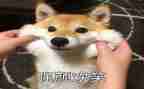 一个微笑的演讲稿8篇