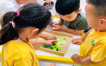 幼儿园小班语言类教案通用6篇