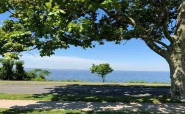 《小岛》教案6篇