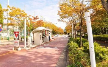 学校内宿申请书范文7篇