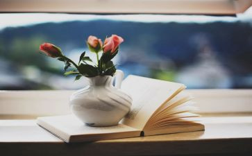 小说童年读后感5篇