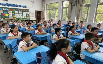 小学数学述职报告范文5篇