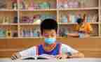 小学安全副校长述职报告8篇