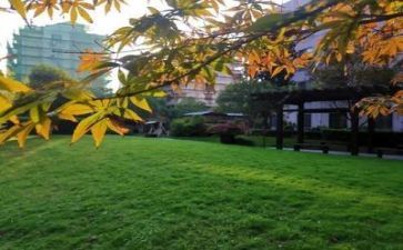 校园访友作文600字6篇