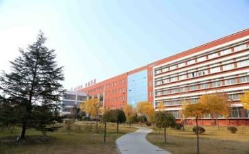 校园安全办工作总结通用7篇