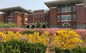 美化校园活动方案7篇