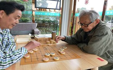 我和下棋的作文5篇
