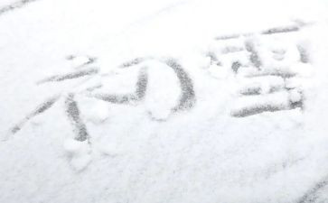 写下雪的作文8篇