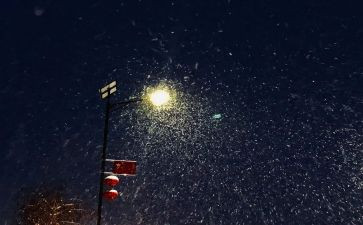 写下雪的作文5篇